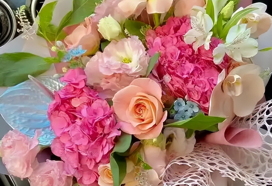 Flowers APP software provides users with information services to