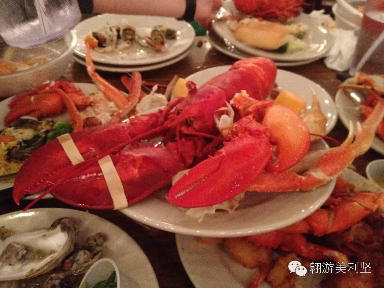 Boston Lobster Buffet iNEWS