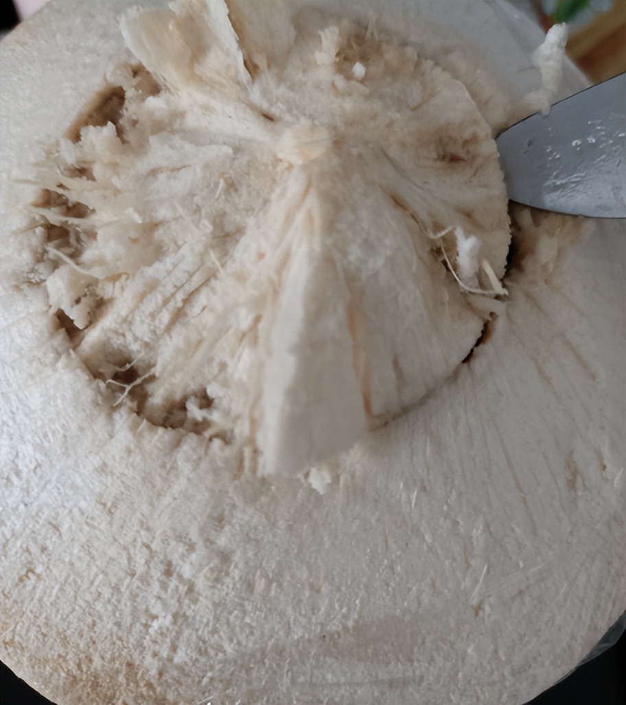 How is coconut water safe to drink? iNEWS