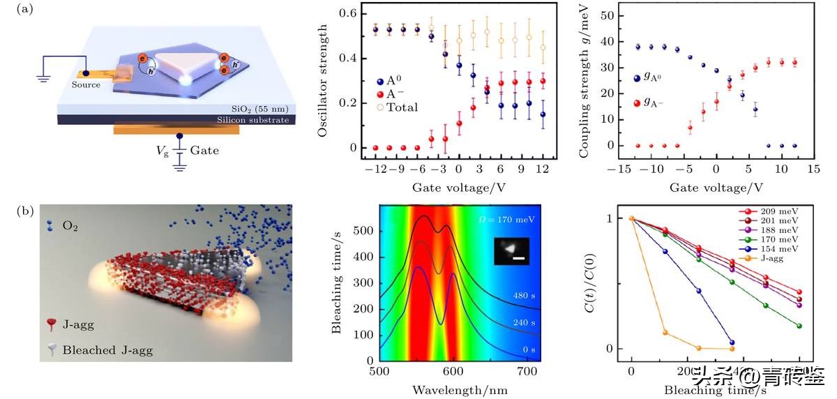 Strong coupling of single plasmonic nanoparticles and nanogap ...