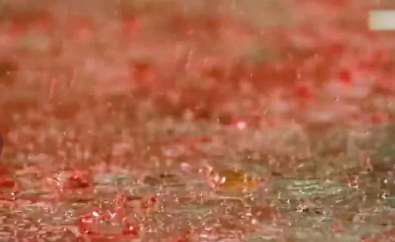 A blood rain in India in 2001 lasted for two months. What are the ...