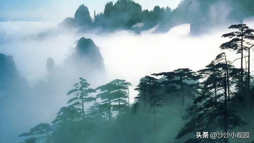 what-is-the-meaning-of-quiet-meaning-in-qi-wuqian-s-short-poem