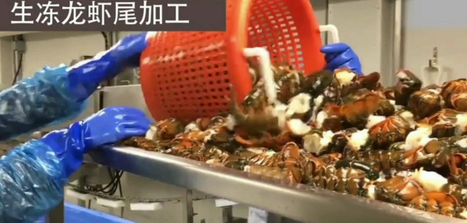 What is the workflow like when I go to Canada to work in seafood ...