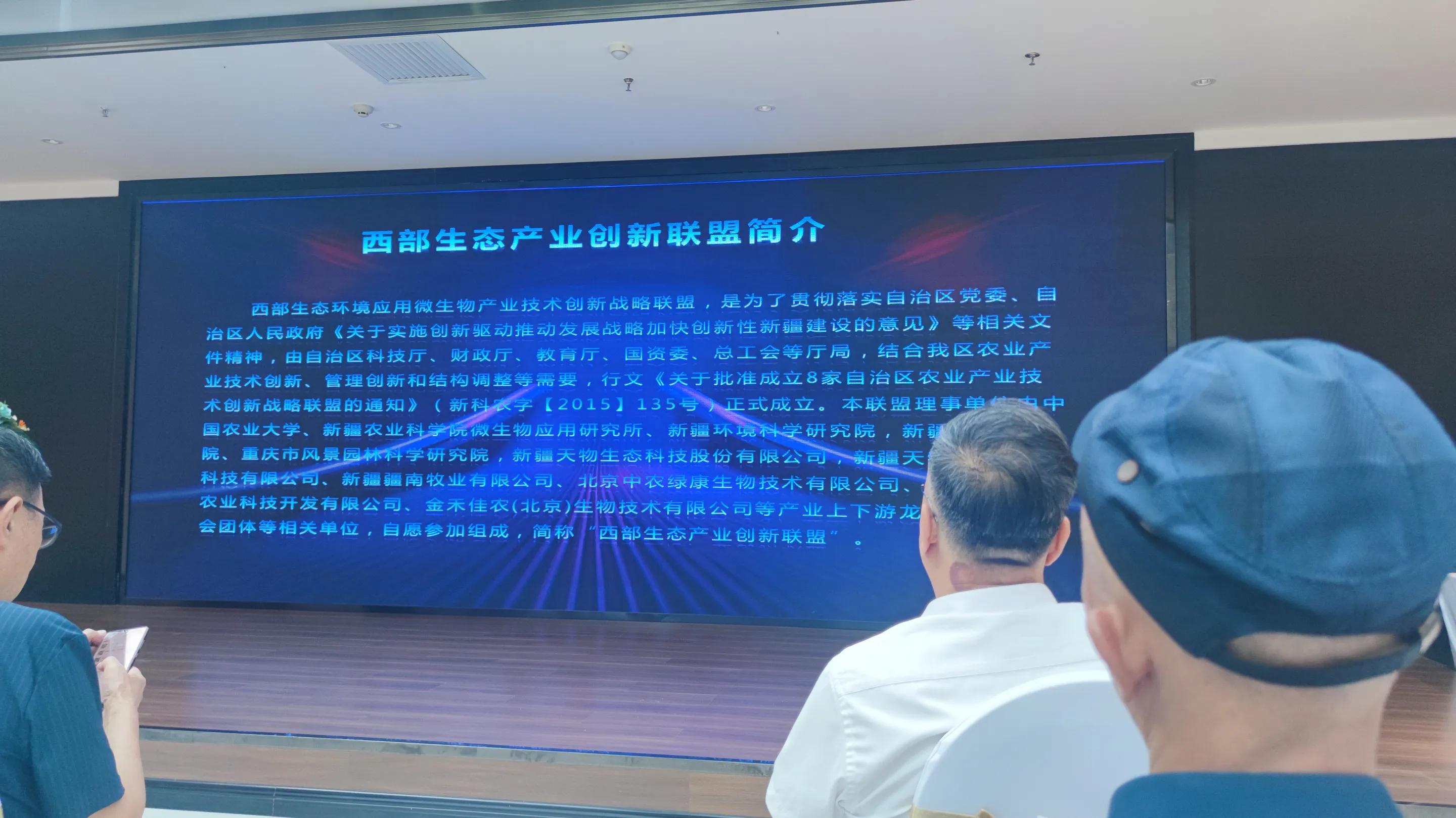 Xinjiang investment boom surging development opportunities to attract