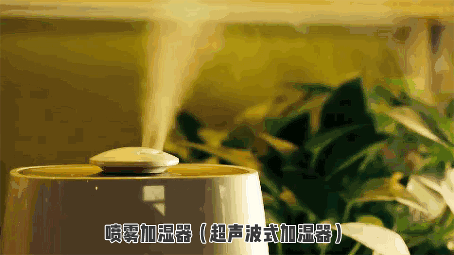 Are the "side effects" of branded humidifiers unavoidable?Little Bear or Xiaomi? iNEWS