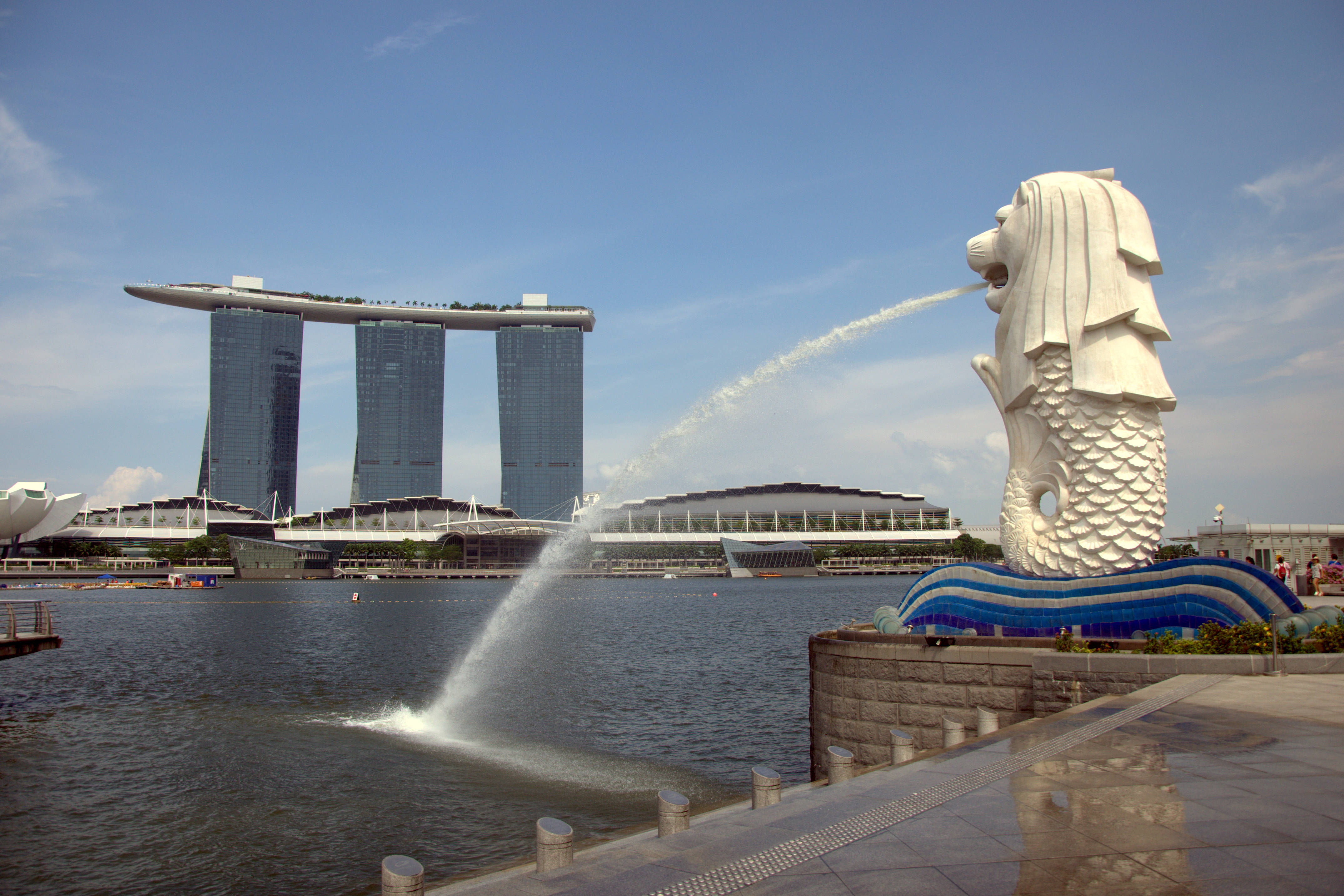 2021 Singapore Visa Application Form Filling Sample And Application 