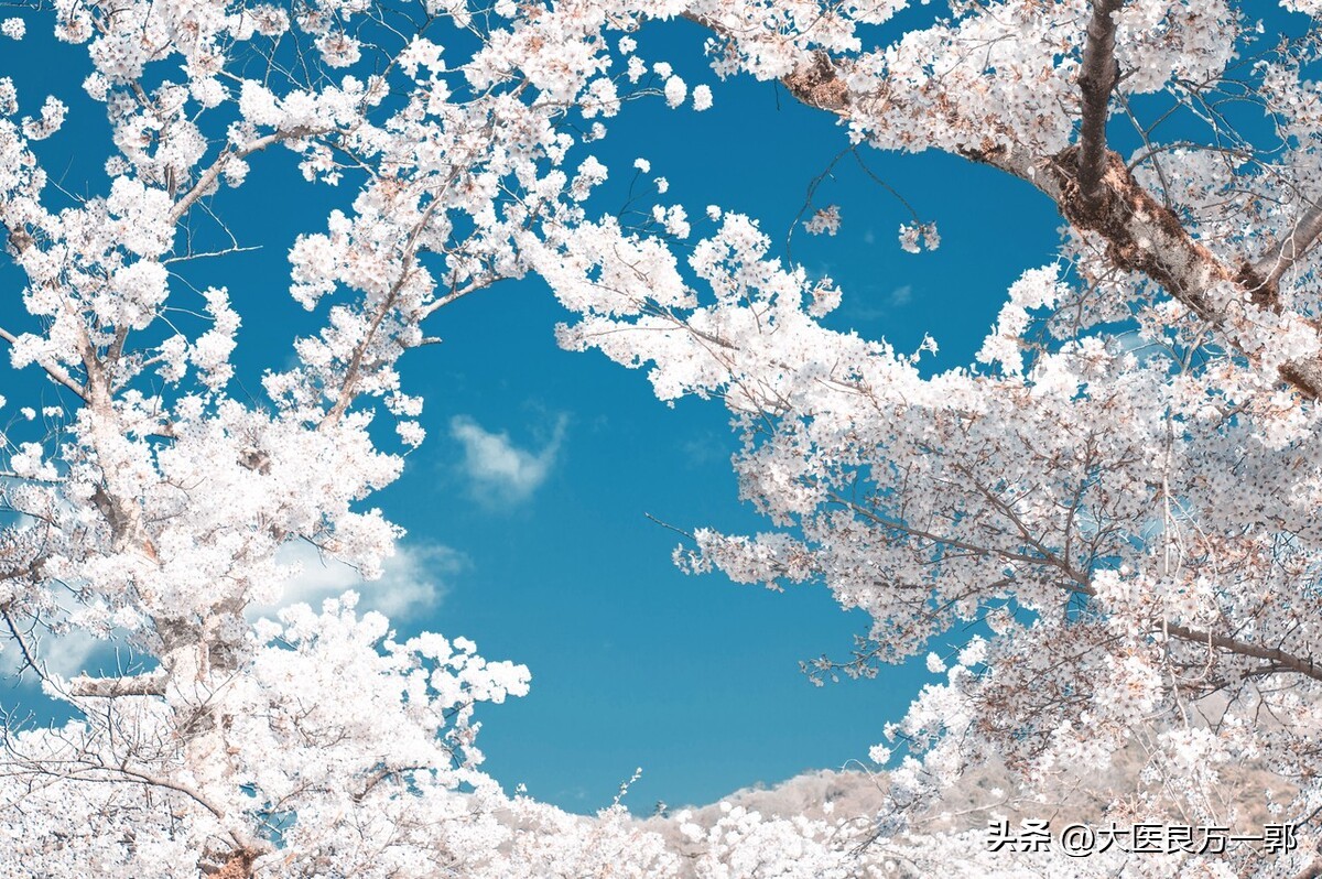 Spring insomnia? Try this foot bath recipe, the feet are comfortable