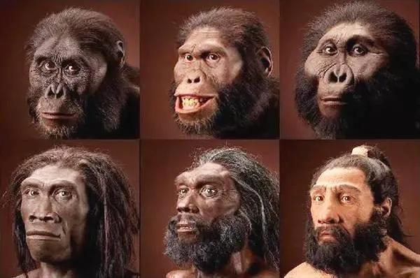 What did human ancestors look like? - iNEWS