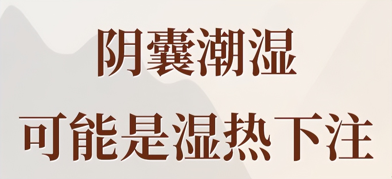 Bet on dampness and heat, and the dampnessremoving medicine has no