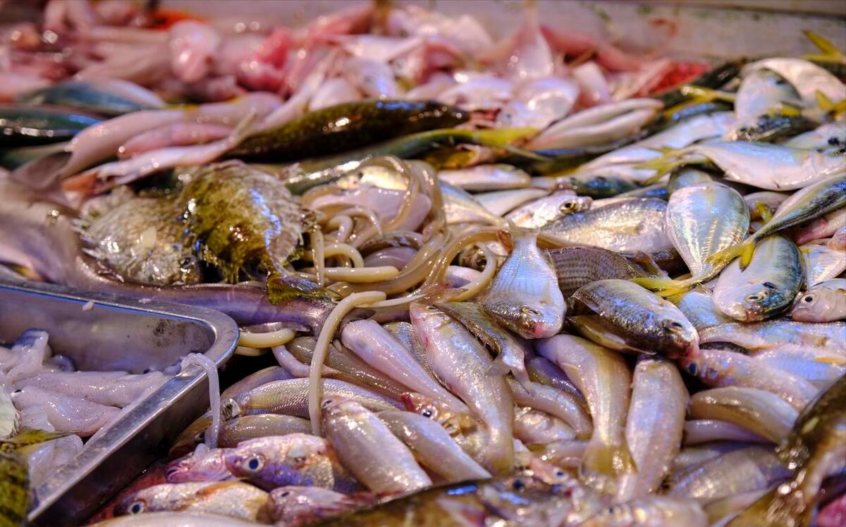 This kind of fish should be eaten less! Remind everyone Hold back no