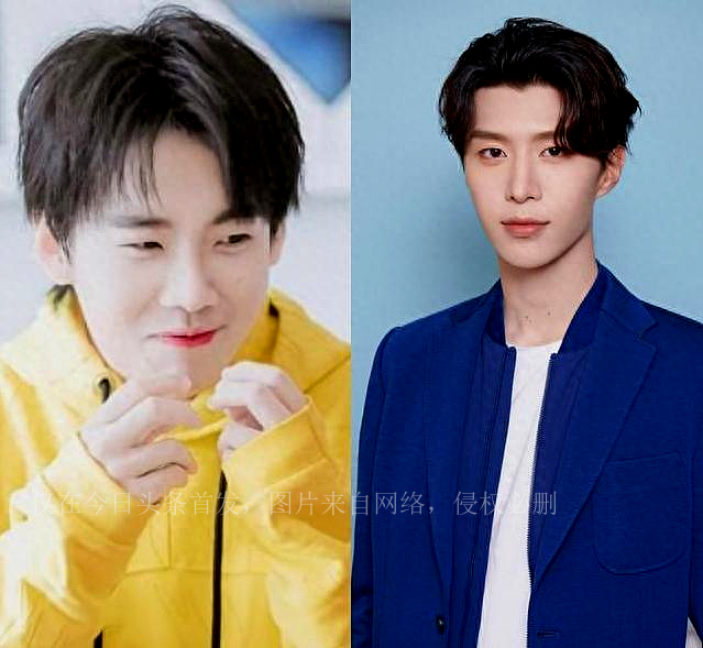 Can you lean against a big tree to enjoy the shade? Fan Chengcheng and ...