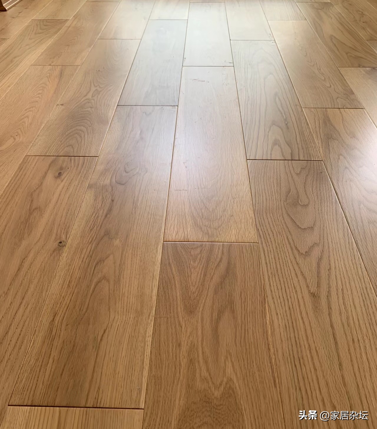 There are 7 formaldehyde "hardest hit areas" in the decoration of new