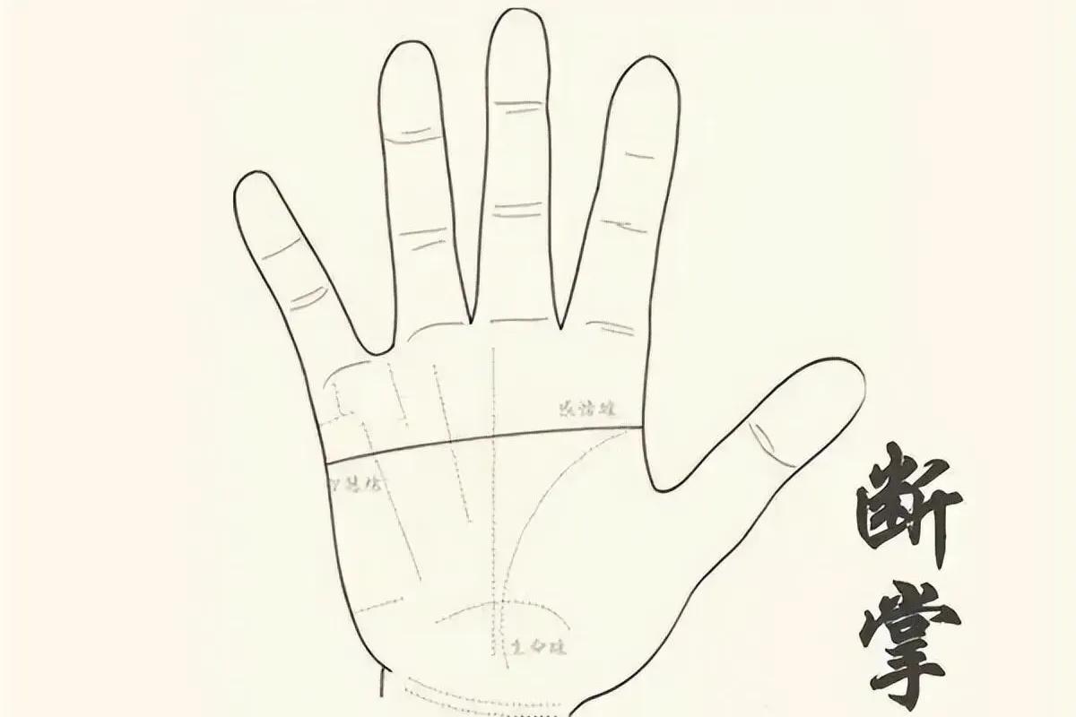 俗話說「斷掌一條線,富貴不相欠」,啥意思?什麼是斷掌 - 資訊咖
