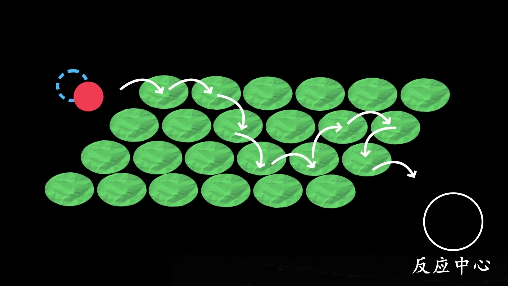 Quantum Biology How Plants Use Quantum Mechanics iNEWS