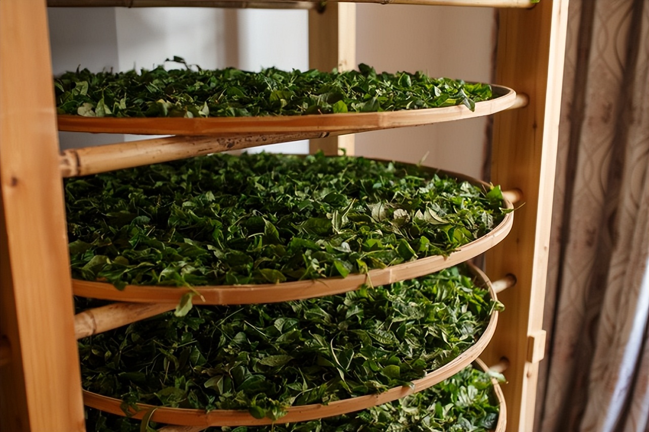 Inheritance and development of Beiyuan tea culture - iMedia