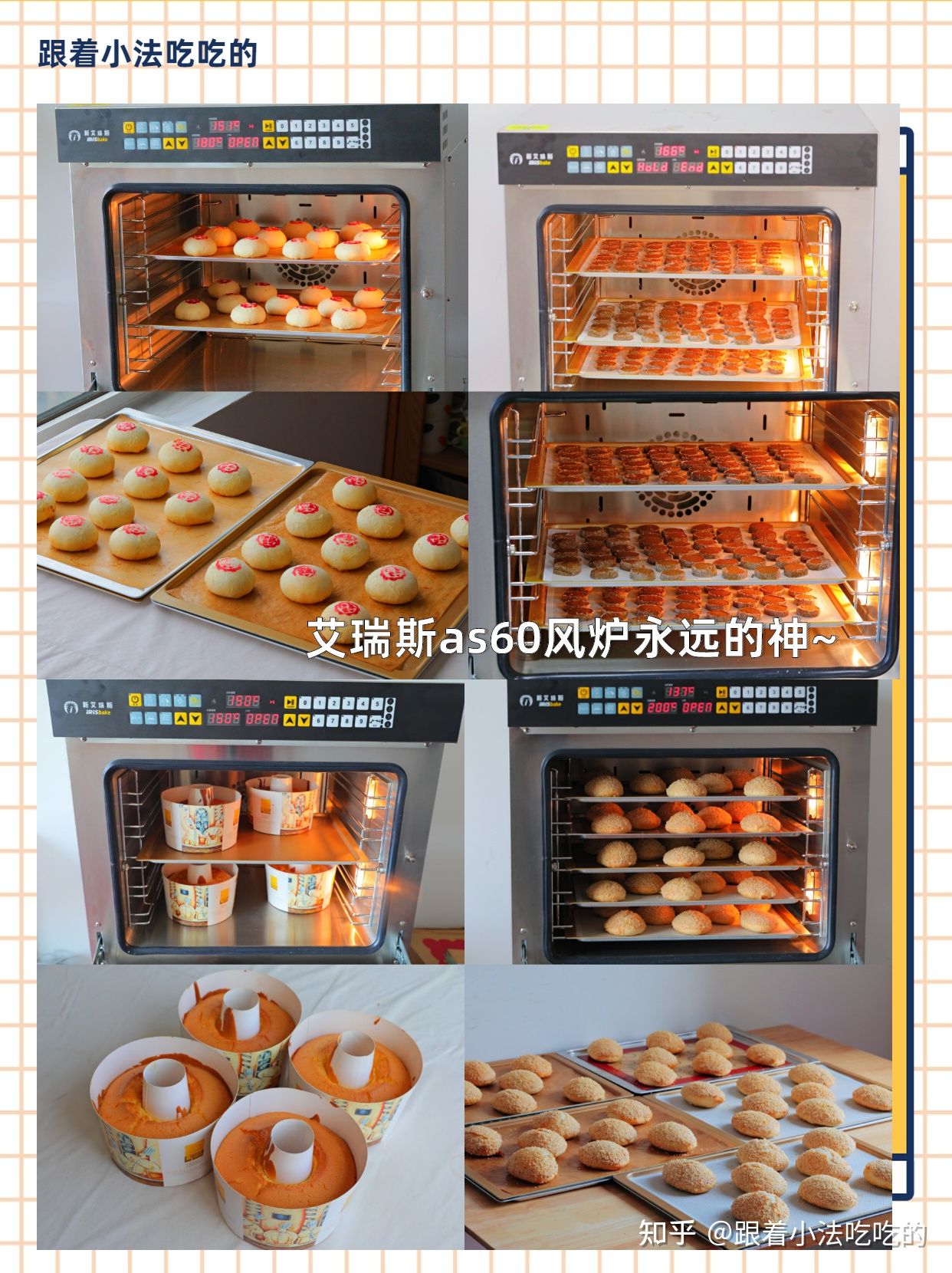 To solve the ultimate problem, how to choose a private baking oven? iNEWS