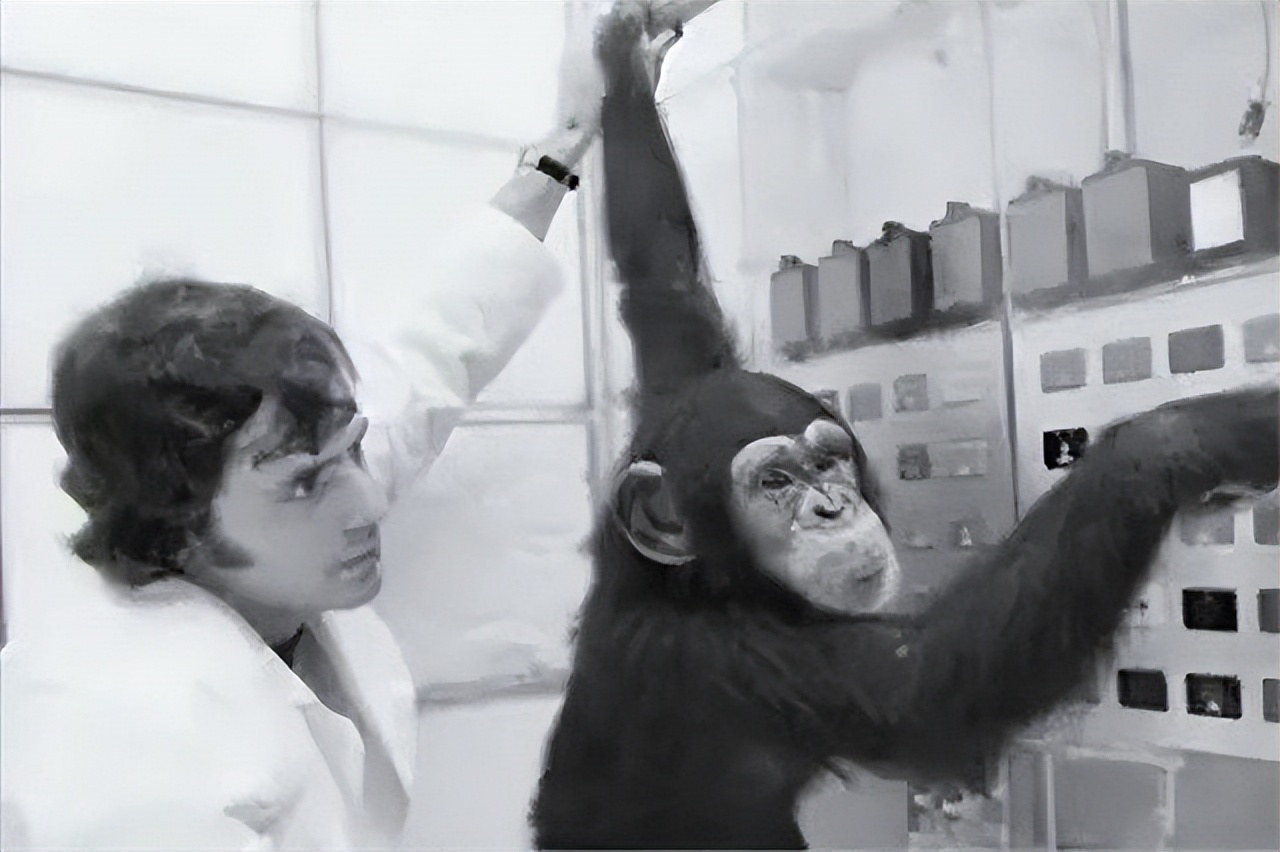 The Soviet Union's inhuman experiment: trying to conceive a monkey ...