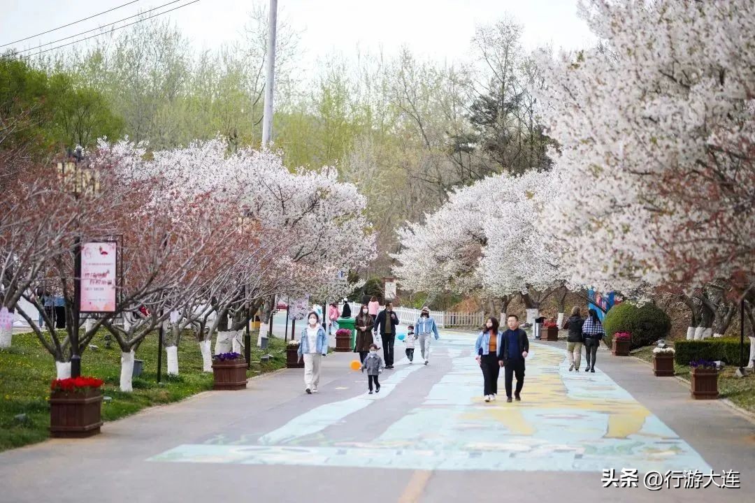 Accept this Qingming outing guide and meet the most beautiful April day ...