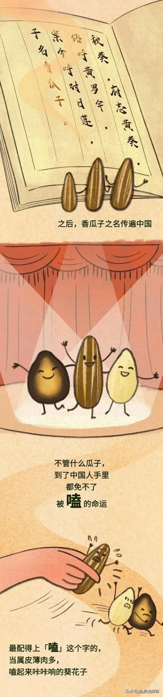 The advantages and disadvantages of melon seeds iNEWS