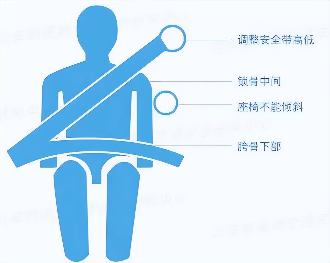 Why do you have to wear seat belts in the back seat of your car? iNEWS