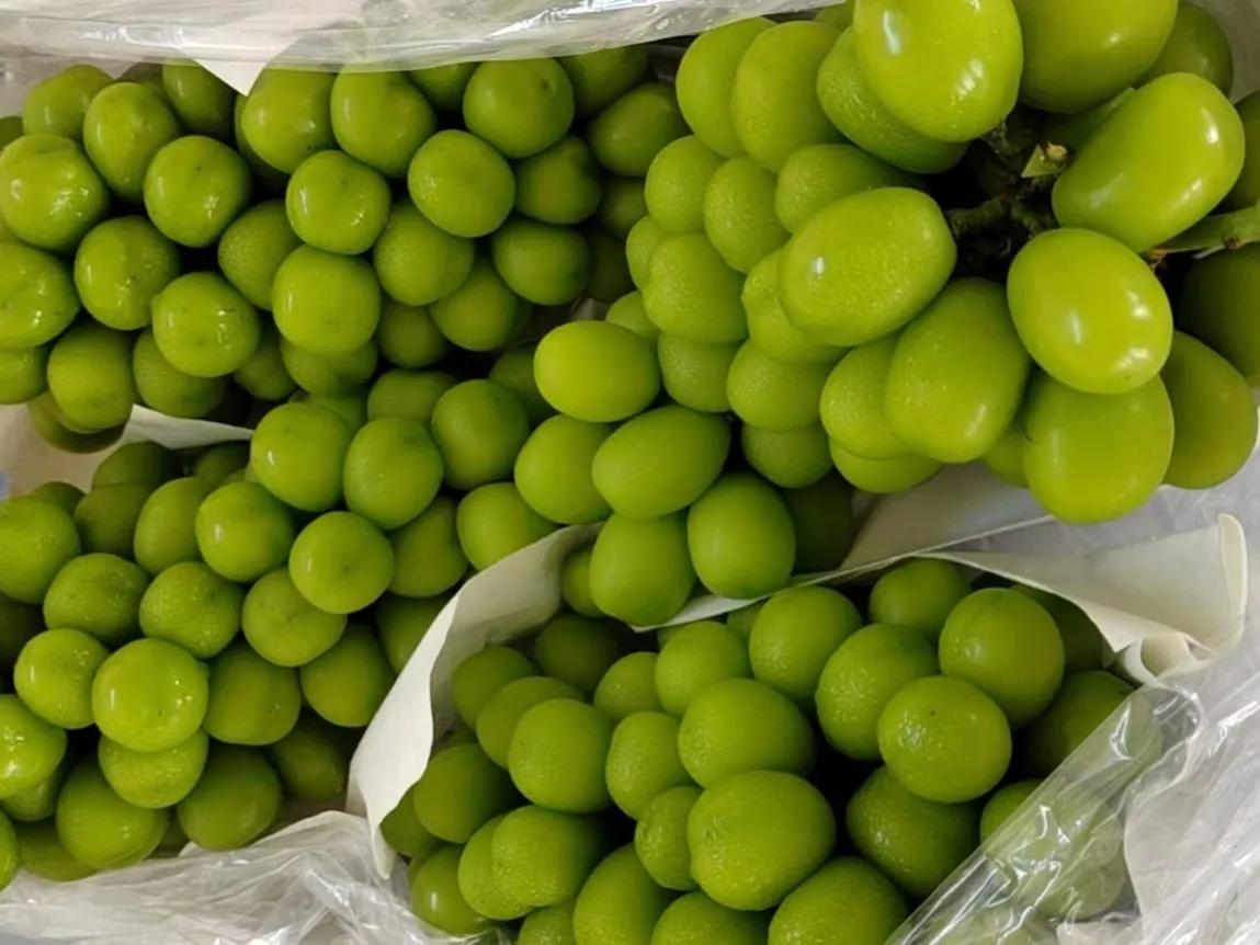 They all look the same, what's the difference between raisins and