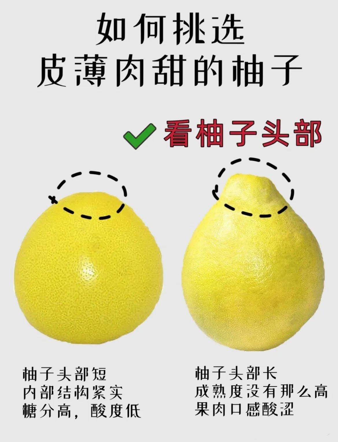 Eating grapefruit is good for nutrition. How to choose highquality and