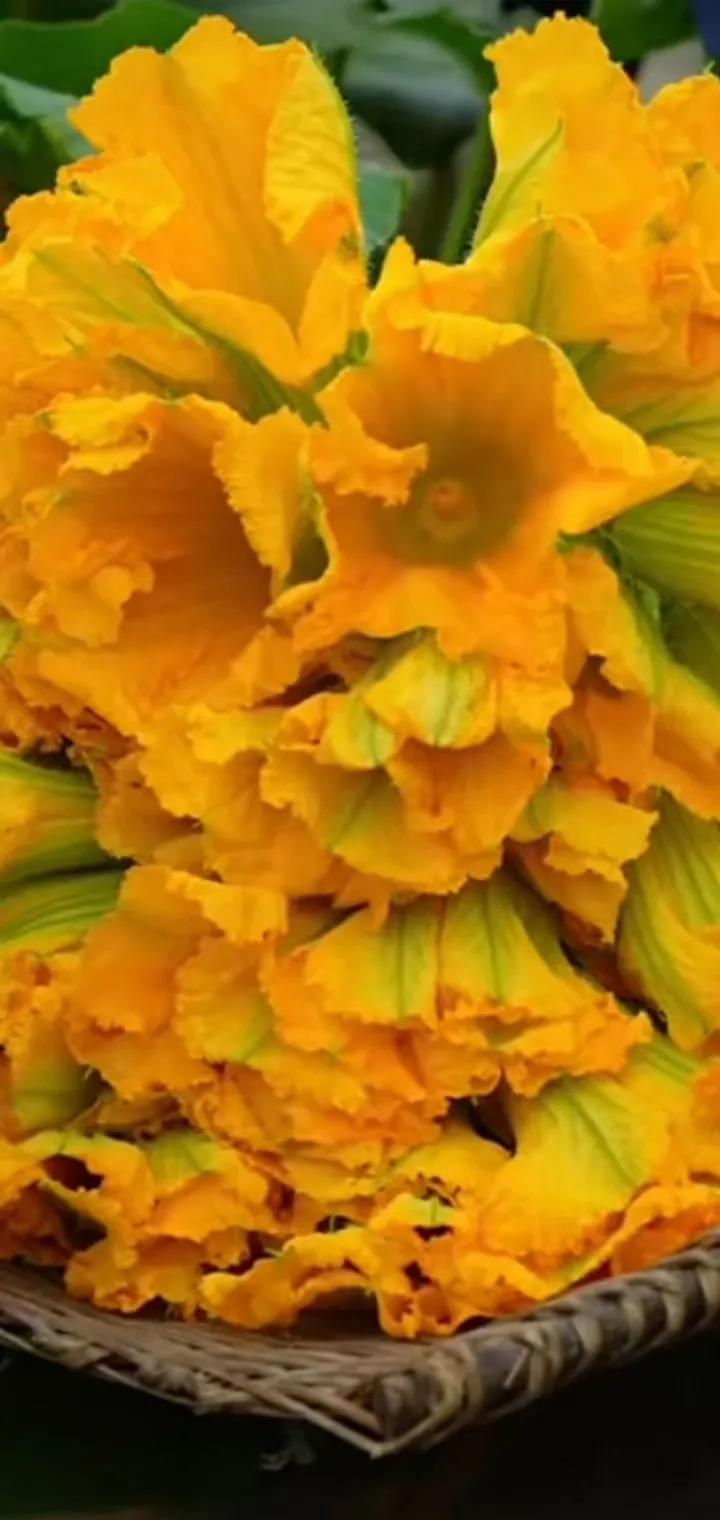 delicious pumpkin flower iNEWS