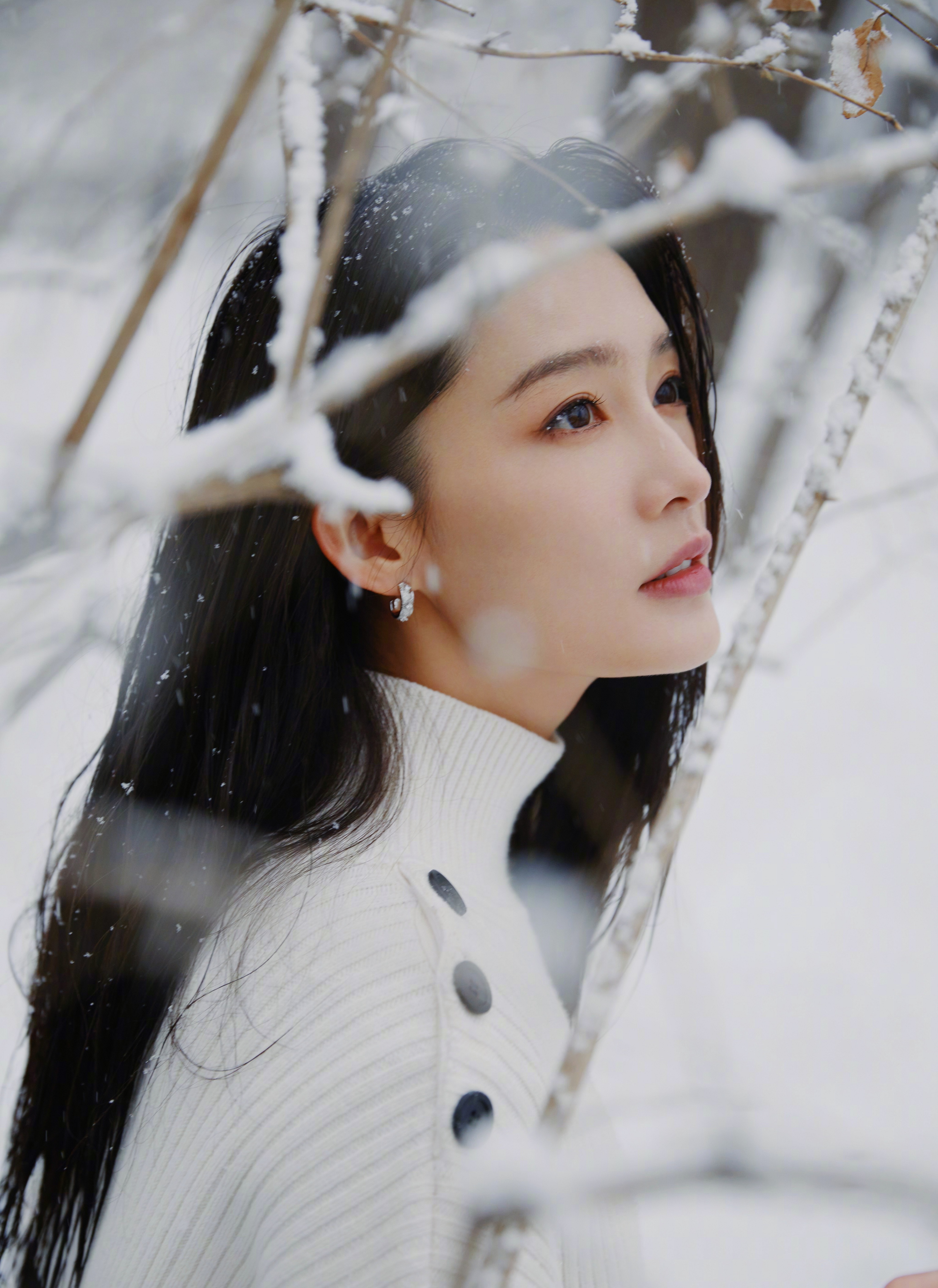 Actress Li Qin and Qiao Xin share photos of snow scenes, which one is ...