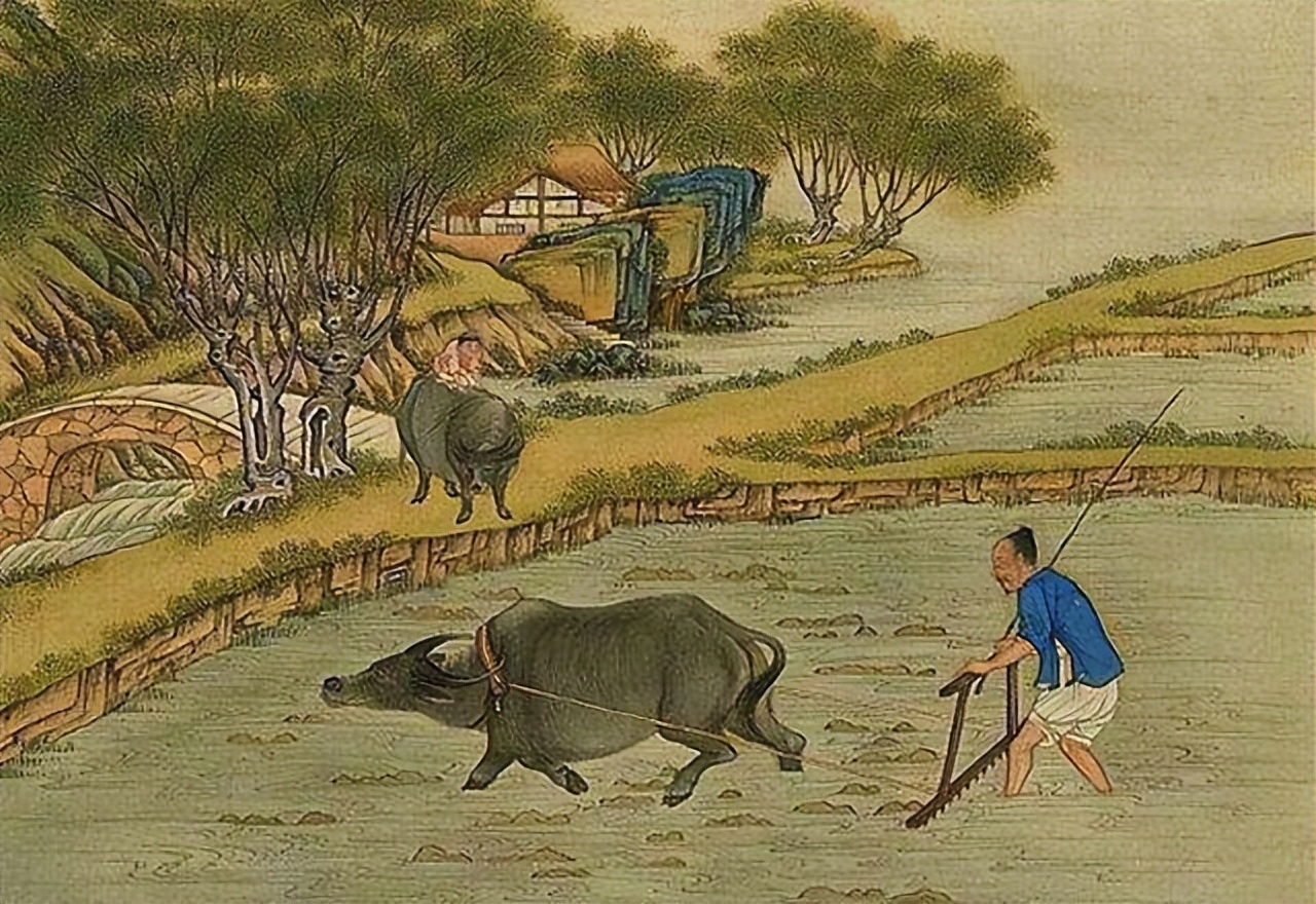 The Economic Basis of Ancient China—Small Peasant Economy iMedia