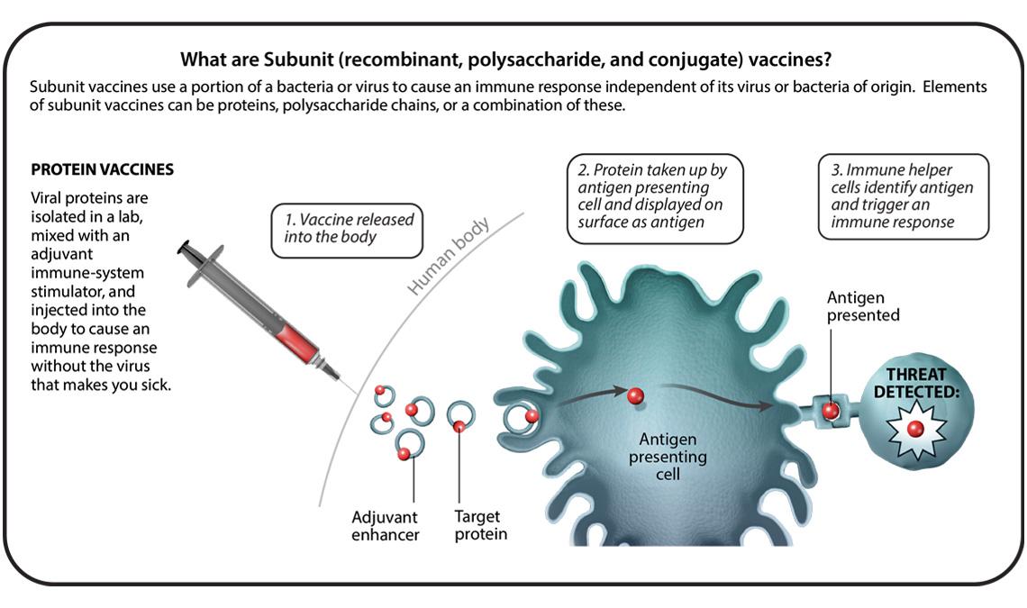 Production Technology of Six Vaccines - iNEWS
