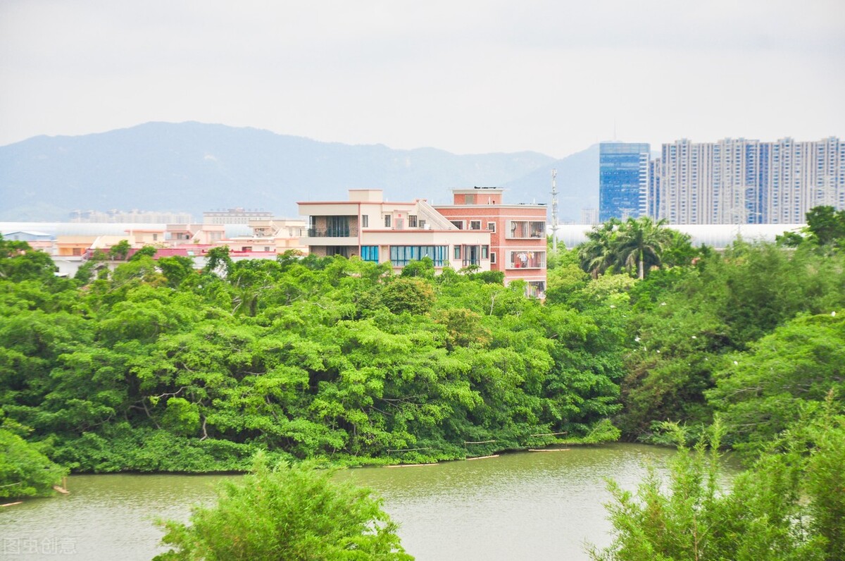 The biggest tree in China, do you know? iNEWS