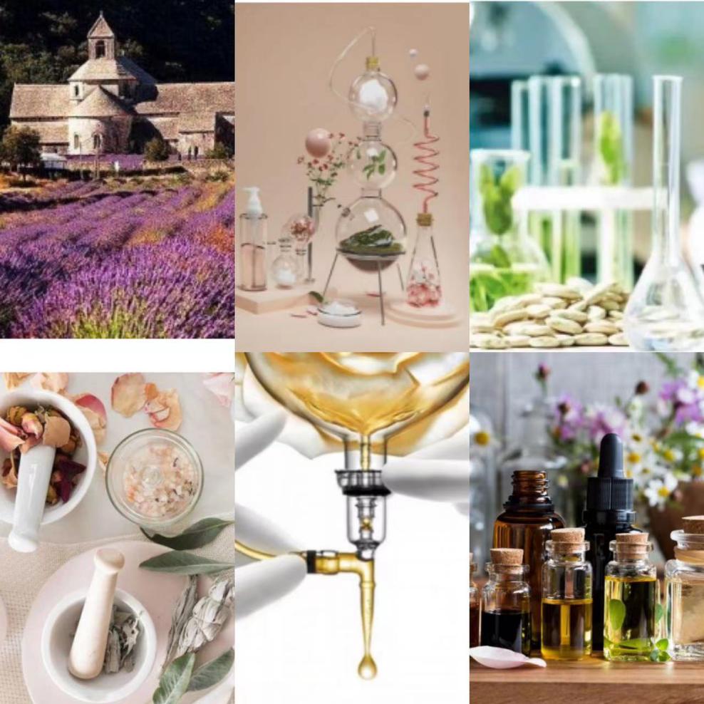 Shu Lei How to keep hair soft in winter?The silk white treasure bottle