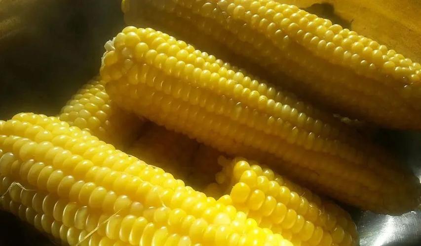 Do not cook corn in a pot under clear water, 