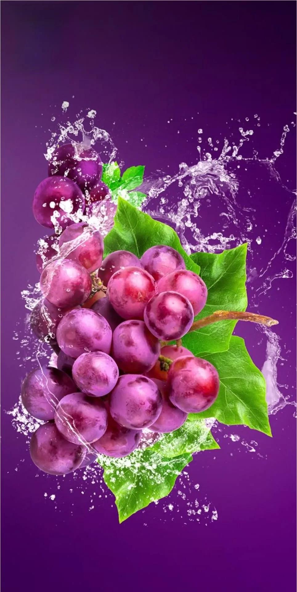 Colorful Fruits Wallpaper Colorful Fruits Background Images Colorful