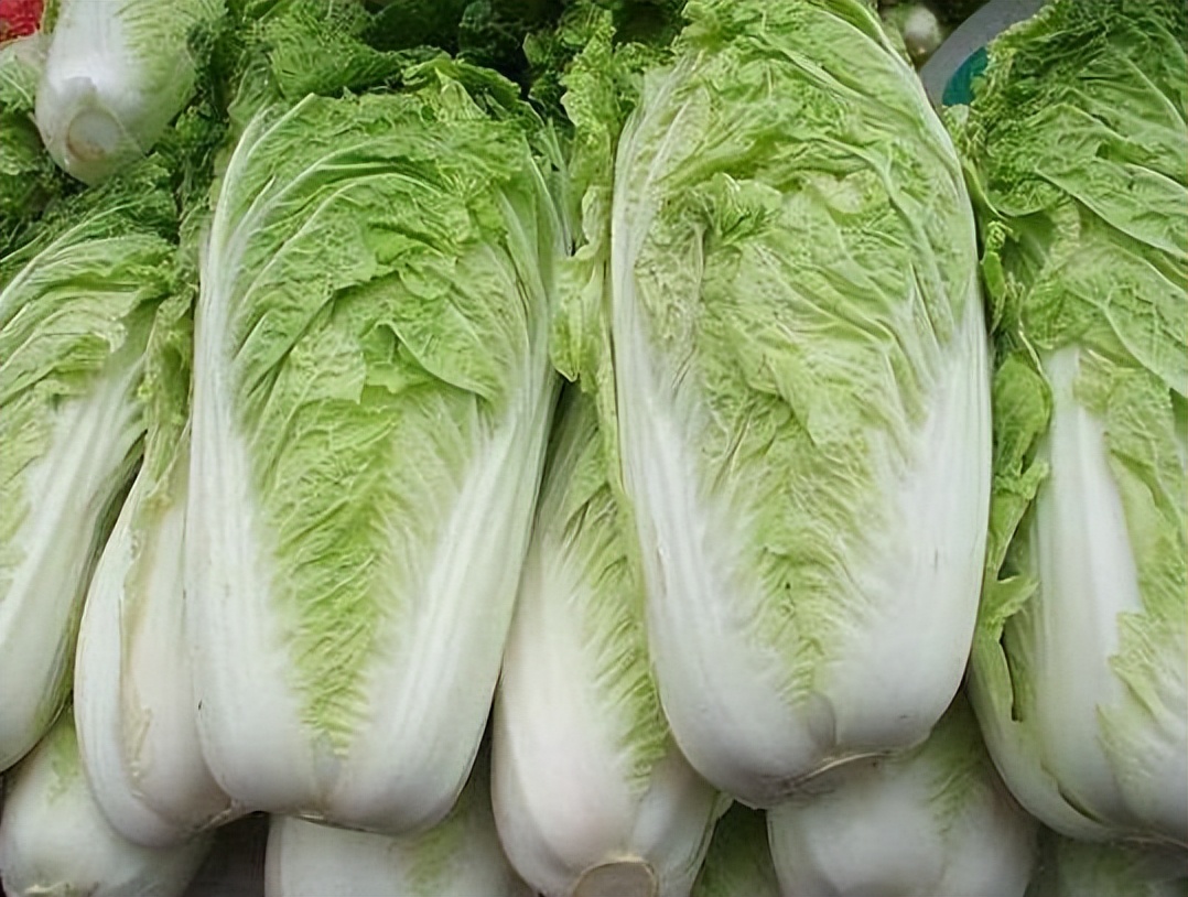 Cabbage that has been sprayed with formaldehyde usually has 3