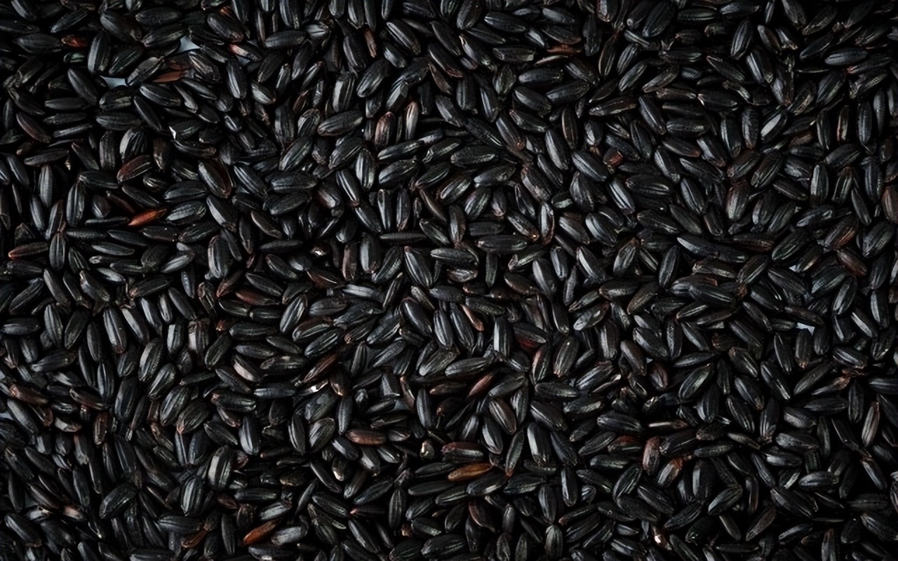 If you eat black rice regularly, you will gain 3 benefits. It is said that  eating black rice can prevent hair loss. Is this true? - iNEWS