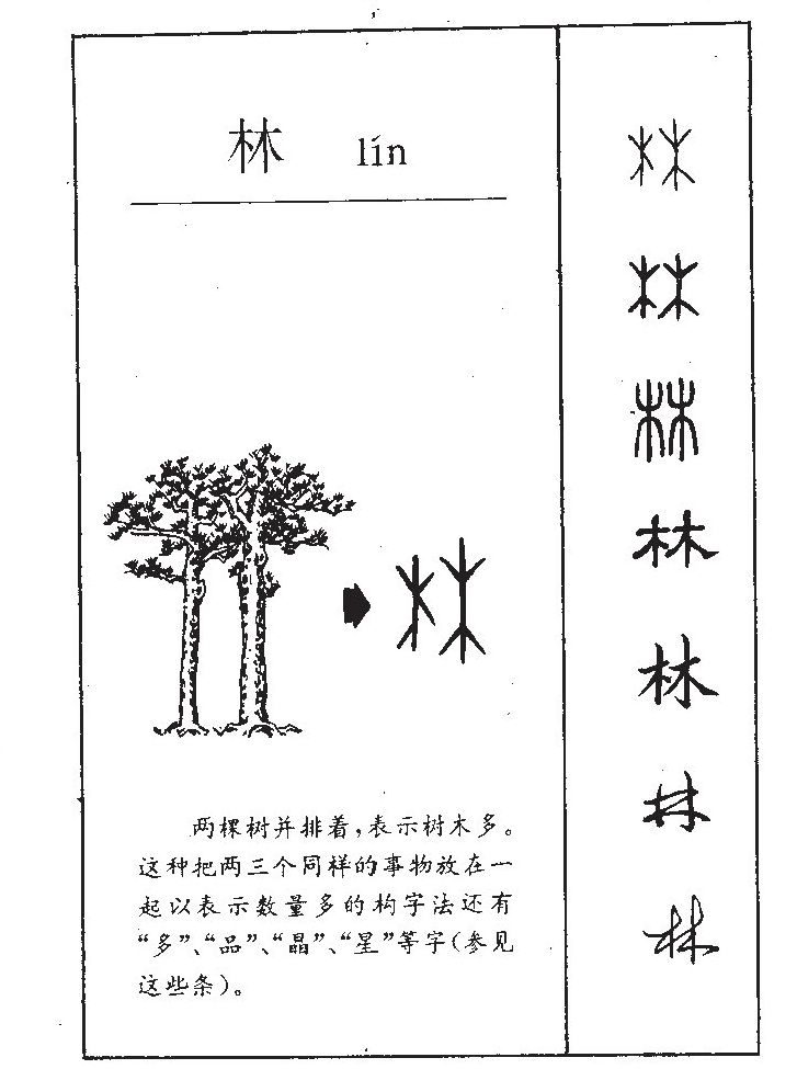 梅盛林刁——字源里的百家姓 - 資訊咖