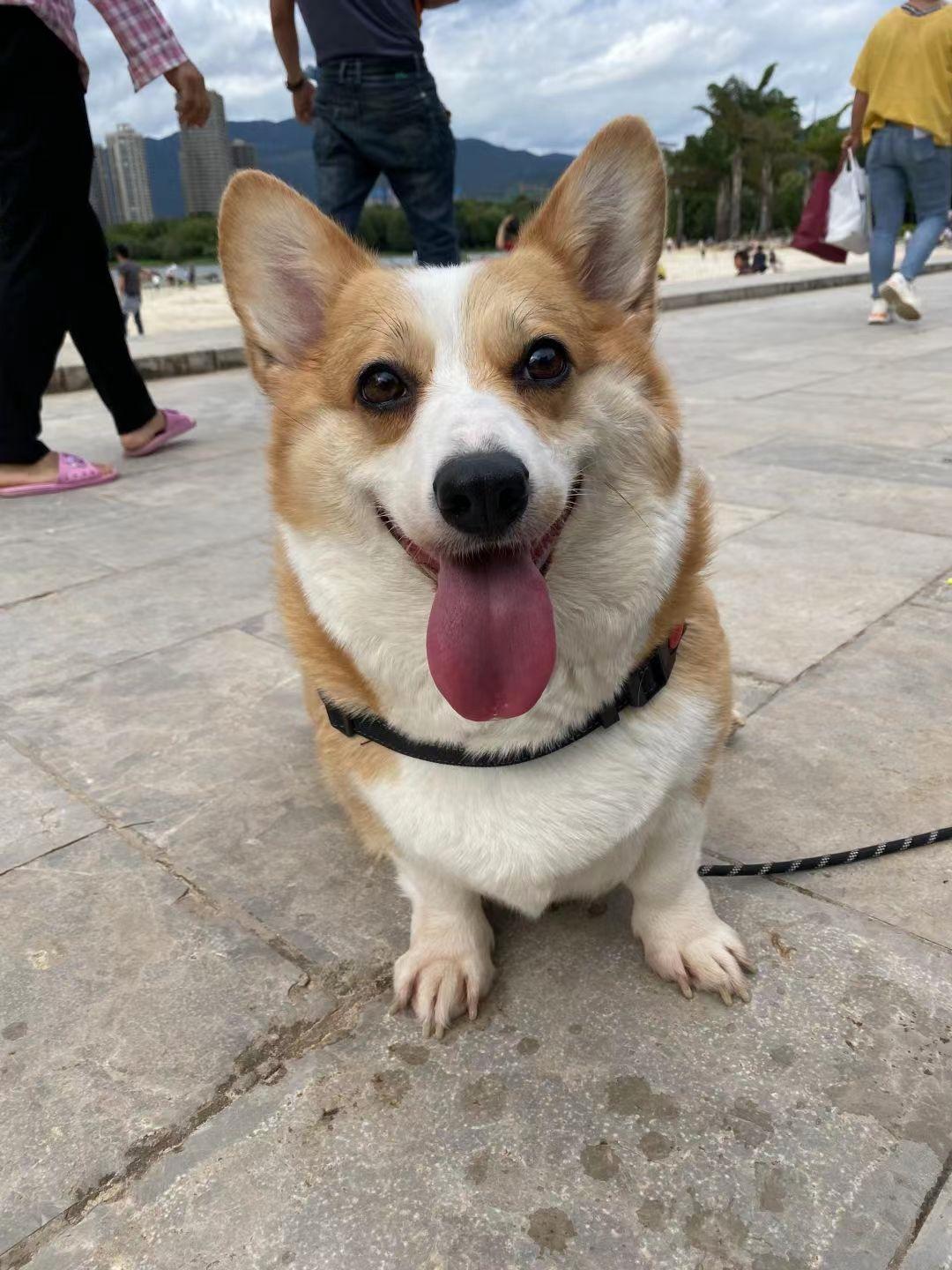 How much does it cost to keep a I advise you not to keep it