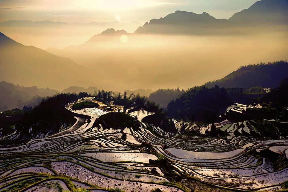 2023[April] Yunhe Terraced Fields, Oujiang Sail Shadows, Morning Tea in ...