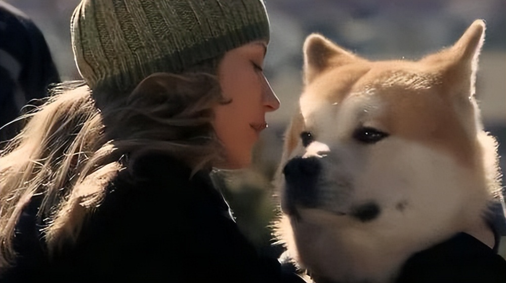 Analysis of the role creation and performance of the movie "The Faithful Dog Hachiko" iNEWS