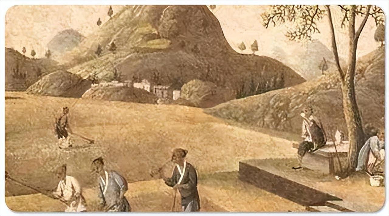 Research on the History of Grain Storage in the Qin Dynasty iNEWS