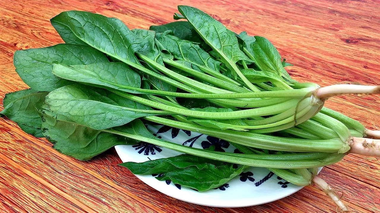 Eat more spinach in spring, supplement iron and calcium, teach you a