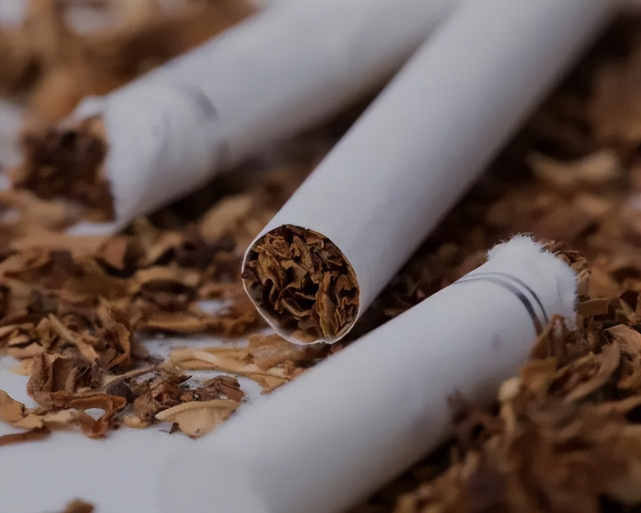 Why are cigarettes divided into hard packs and soft packs, what is the difference between the