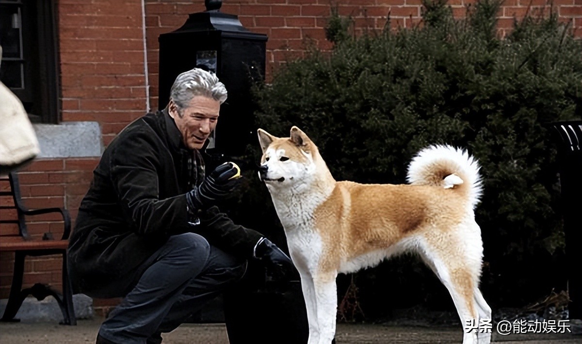 "The Faithful Dog Hachiko" burst into tears as soon as it was released