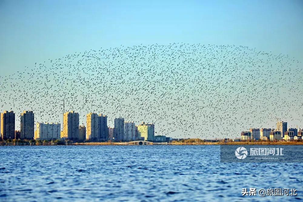 Hengshui Seasonal Weather