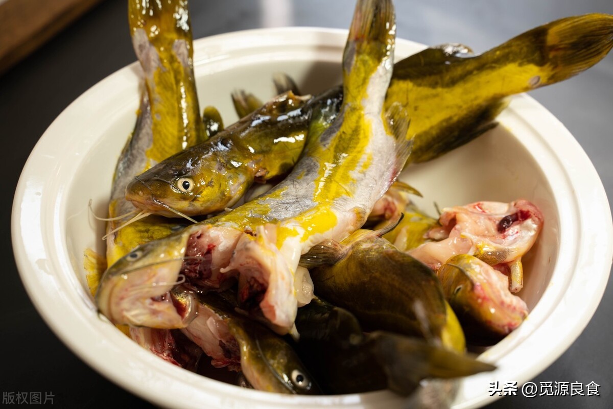 Yellow catfish yellow bone fish, why does it taste different from