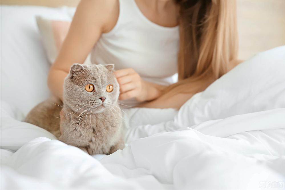 Why does your cat like to follow you all the time?Cat You have to