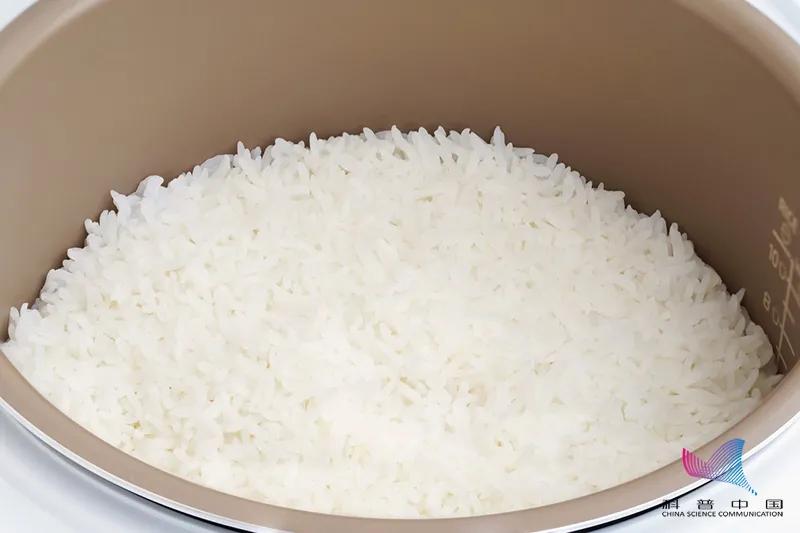 Scary!Frequent use of rice cookers can cause cancer?Pay attention to