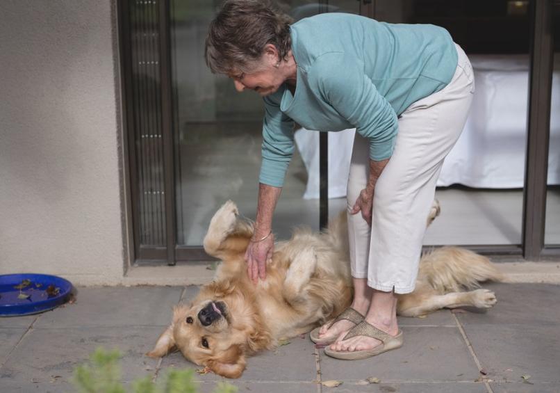 How old is a dog to be considered a senior dog?What physical changes do