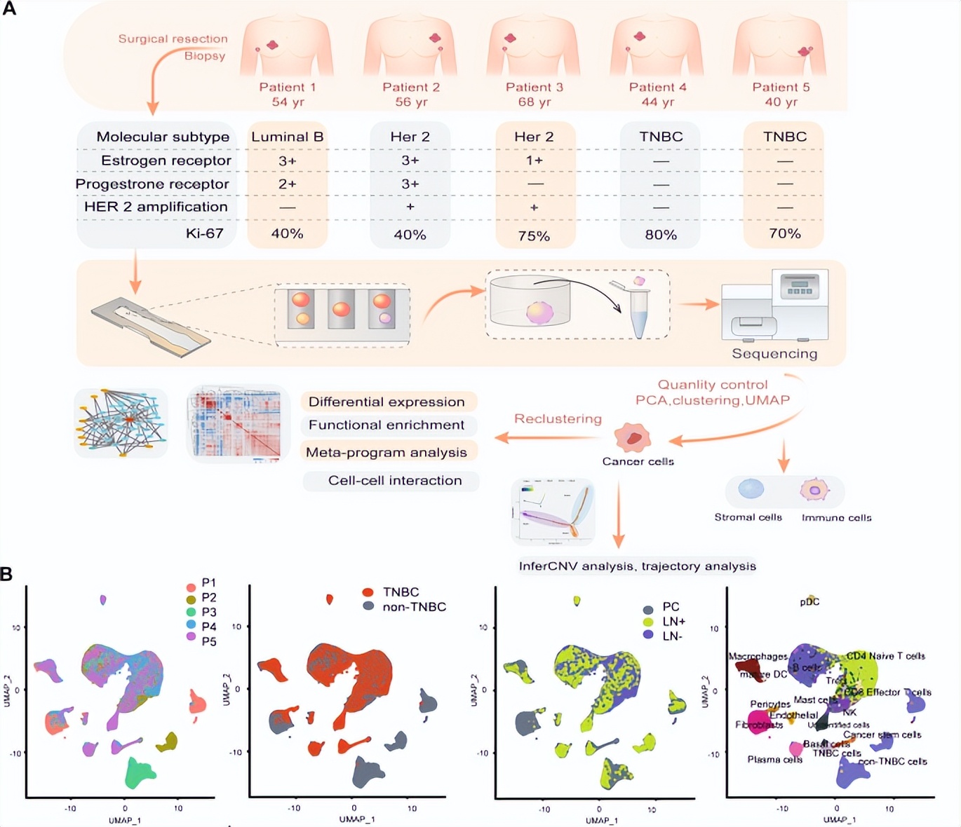 Single-cell sequencing reveals cellular heterogeneity of lymph node ...